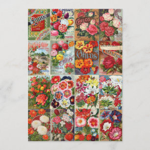 Vintage Blume Saatgutpackungen Garden Collage Einladung