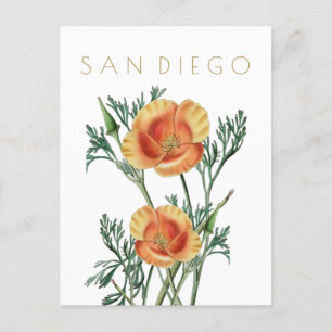 Vintage Blume San Diego Staat Postkarte