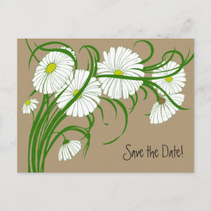 Vintage Blume von White Gerber Daisy Save the Date Ankündigungspostkarte