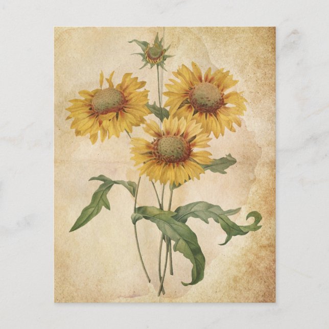 Vintage Blume Zeitfarbenpapier (Vorderseite)