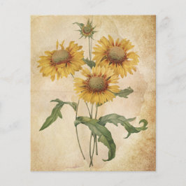 Vintage Blume Zeitfarbenpapier