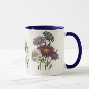 Vintage Blumen, Astern, Schwertlilien und Mohnblum Tasse