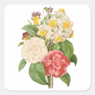 Vintage-Blumen Camelia Narzissen Blumen von Redout Quadratischer Aufkleber