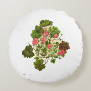Vintage Blumen der Wissenschafts-NZ - Pelargonie Rundes Kissen