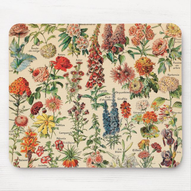 Vintage Blumen durch Adolphe Millot Mousepad (Vorne)