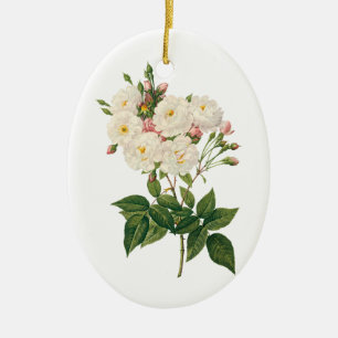 Vintage Blumen Florale Röte Noisette-Rose Redoute Keramikornament