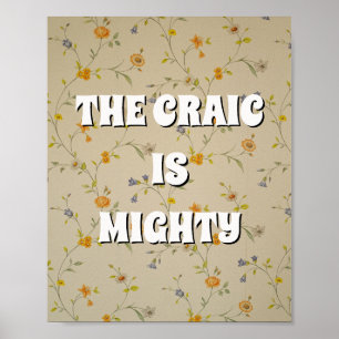 Vintage-Blumen-Irisch-The Craic ist großartig-Plak Poster