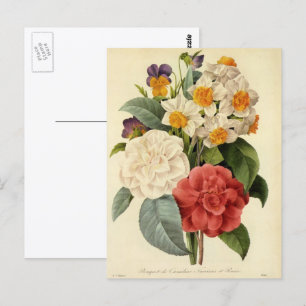 Vintage Blumen, Kamelien und Narzissen, Redoute Postkarte