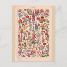 Vintage Blumen Postkarte