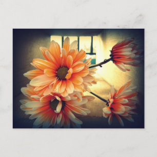 Vintage-Blumen-Postkarte Postkarte