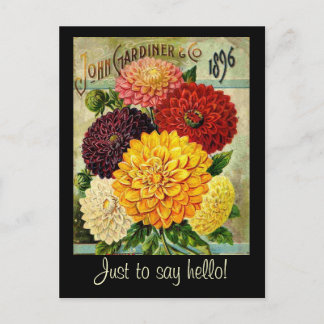 Vintage-Blumen-Samenpaket -Postkarte Postkarte