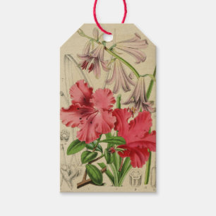 Vintage-Blumen-Tag Geschenkanhänger
