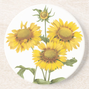 Vintage-Blumen-Teppichblume Sonnenblume von Redout Sandstein Untersetzer