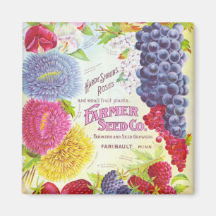 Vintage Blumen u. Frucht-Magnet Magnet