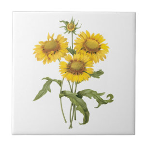 Vintage Blumenblanket Blume Sonnenblumen von Redou Fliese