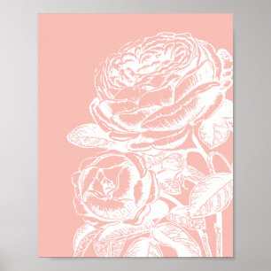 Vintage Blumendarstellung Rosa Rosa Botanisch Poster