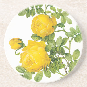 Vintage-Blumenmuster, gelbe Rosen von Redoute Sandstein Untersetzer