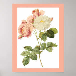 Vintage-Blumenposter 2 Poster