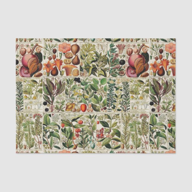 Vintage Blumensammlung #15 Seidenpapier (Vorderseite)