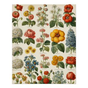 Vintage Blumensträuße Blumen Poster