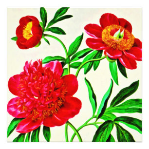 Vintage Blütenstände Fotodruck