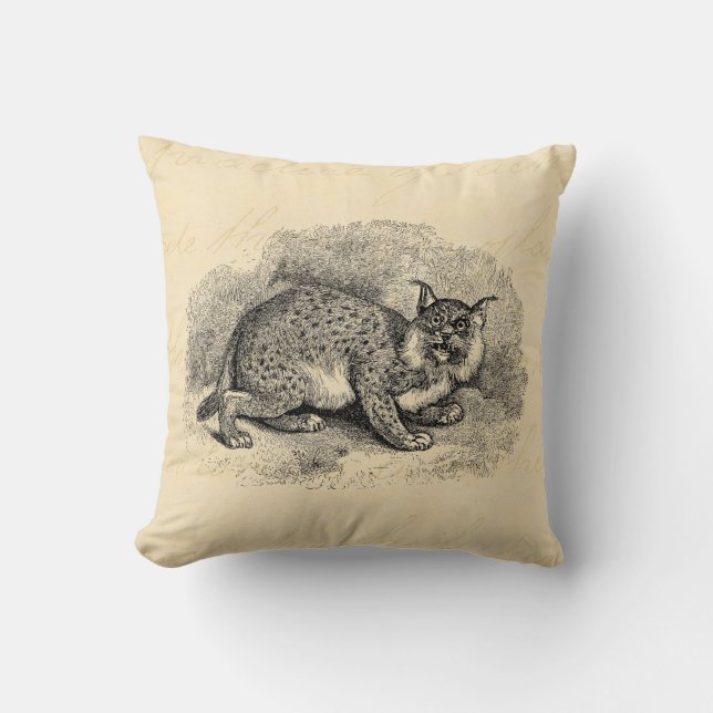 Vintage Bobcat 1800s Bob-Katzen-Luchs-Illustration Kissen (Vorderseite)