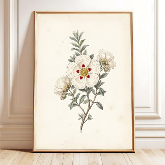Vintage Boho Cistus Druck Home Dekor Wandkunst Poster