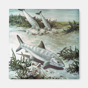 Vintage Bonefish Underwater Scene Magnet