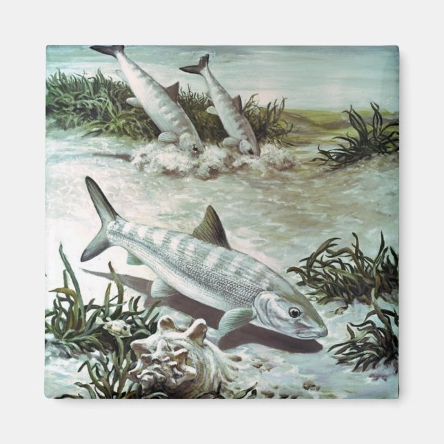 Vintage Bonefish Underwater Scene Magnet (Vorne)