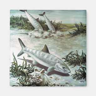 Vintage Bonefish-Unterwasserszene Magnet