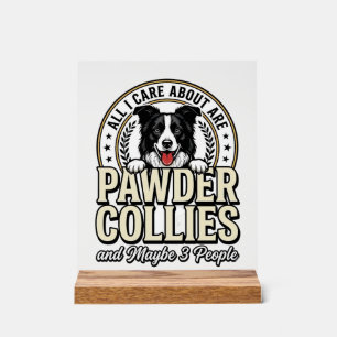 Vintage Border Collie Hundeliebhaber Lustiges T-Sh Acrylschild