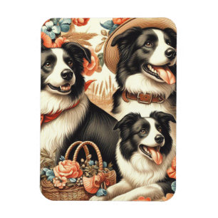 Vintage Border Collie Malerei Magnet
