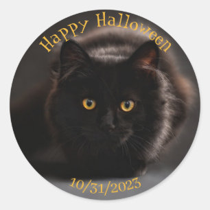 Vintage Böse Schwarzkatze Gruselig Halloween Runder Aufkleber