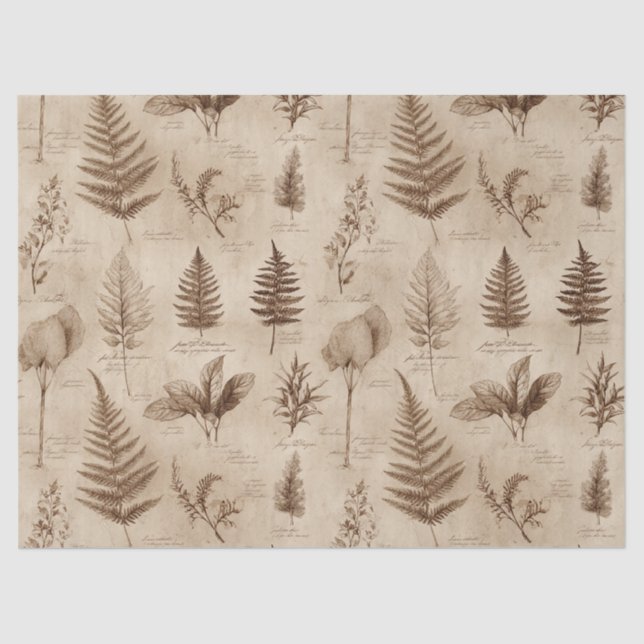 Vintage Botanical Floral Pattern (7) Seidenpapier (Vorderseite)