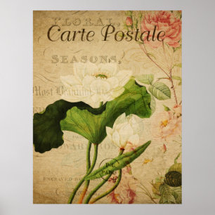 Vintage Botanical Poster - Lotus Flower