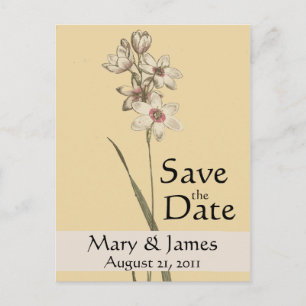 Vintage Botanicals BlumenSave the Date Postkarte