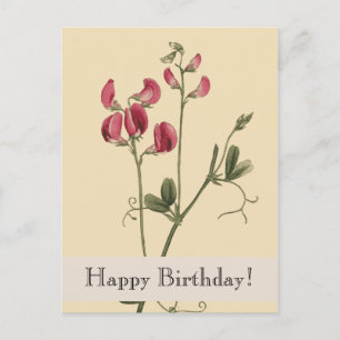 Vintage Botanicals Happy Birthday Postcard Postkarte