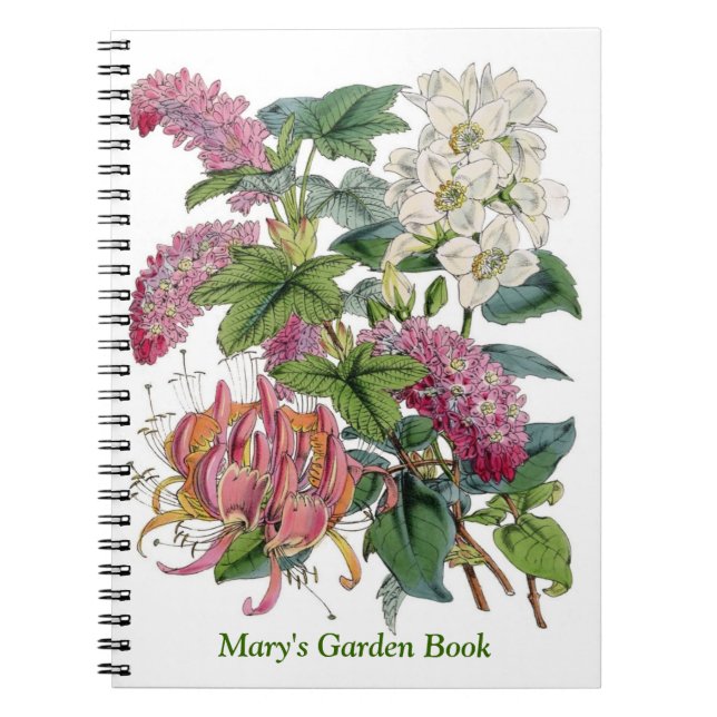Vintage Botanicals Illustrationen Notizblock (Vorderseite)