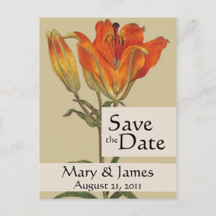 Vintage Botanicals Lilie Save-the-Date-Postkarte Ankündigungspostkarte