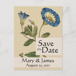Vintage Botanicals Morning Glory Save the Date Ankündigungspostkarte