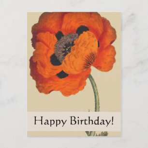 Vintage Botanicals Poppy Geburtstagskarte Postkarte