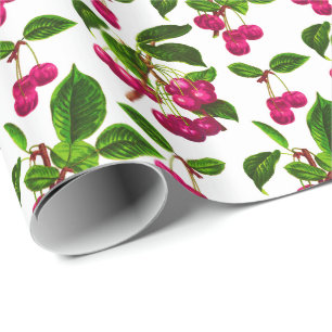 Vintage-Botanik-Fuchsienrosa-Kirschen-Druck Geschenkpapier