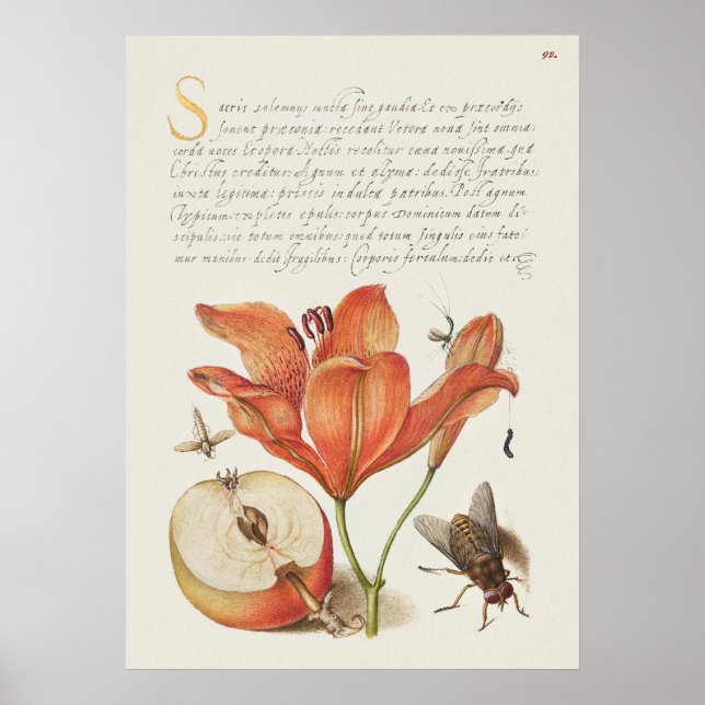 Vintage Botanik-Illustrationsposter Poster (Vorne)