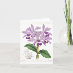 Vintage-Botanik-Orchideen-Karte Karte