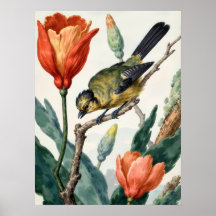 Vintage Botanische Abbildung von Vogel und Blumen