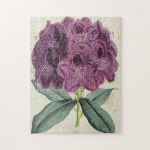 Vintage Botanische Amilear Rhododendron Puzzle