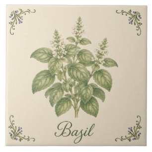 Vintage Botanische Basilikum-Kräuter-Küchengarten Fliese