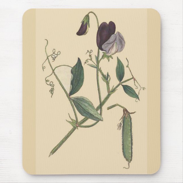 Vintage botanische Blume Blumengarten Mousepad (Vorne)