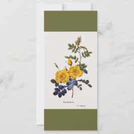 Vintage botanische Blume Gelb Rosa Lesezeichen