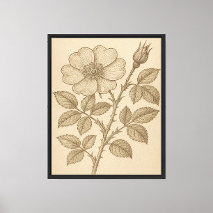 Vintage botanische Blume Gravur Leinwanddruck